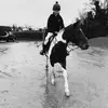 grace - @ggrace.sheridan - TikTok