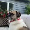 Grace Sheridan - @gracesheridan28 - TikTok