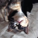 Graceshinners - @graceshinners - Instagram