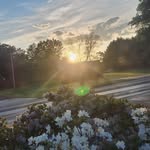 Grace Shook - @dont_give_up____________ - Instagram