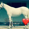 Lily Grace Sidell - @pony4life1234 - TikTok