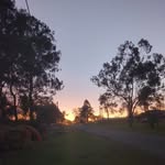 Grace - @grace_sippel - Instagram