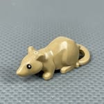 Grace Skinner - @_sticky_pig_ - Instagram