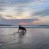 Grace - @grace.spear1 - TikTok