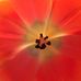 Grace Walline Specht - Facebook