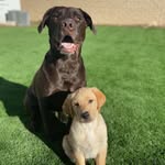 Bennett & Grace Staley - @bennettandgrace - Instagram