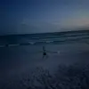Grace Steiner - @grace.steiner37 - TikTok