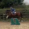Grace Stephenson72 - @gracestephenson12 - TikTok