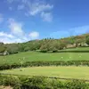 Grace Stephenson - @grace_steps06 - TikTok