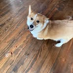 Grace Thurman - Facebook