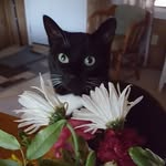 Grace Burdett - @gracethurston40 - Instagram