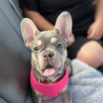 Izabella grace tilley - @bizzy._.izz - Instagram