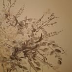 Grace Tobin - Facebook