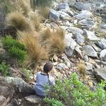 perth / single - @gracetonks - Instagram