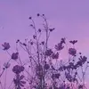 graceeuba 💞 - @graceeuba - TikTok