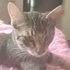 Grace Vang - @grace.vang52 - TikTok