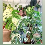 Grace Vergara - @wildleaf.toronto - Instagram