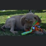 Grace Vigil - @grace.vigil.963 - Instagram