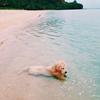 grace.walls - @grace.walls37 - TikTok