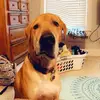 Grace.Walls - @grace.walls - TikTok