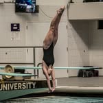 Grace Whitfield - @gracewhitfield_diving - Instagram
