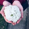 gracewhitfield10 - @gracewhitfield10 - TikTok