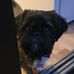 Gracie Whitfield - Facebook
