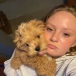 Gracie Wickham - @gracie_wickham - Instagram