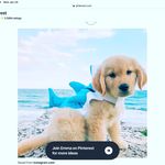 Anniston Grace Willard - @annistongracewillard - Instagram