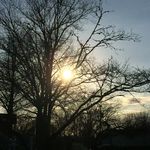 Grace Windsor Wexler - @grace_wexler1 - Instagram