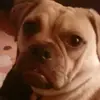 gracewinston - @gracewinston - TikTok