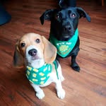 Gracie & Winston Nielsen - @her.grace.and.winston.together - Instagram
