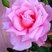Grace ,Love &amp; Inspiration with Deanne Wray - Facebook