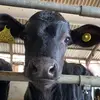 Grace - @grace.wyatt883 - TikTok