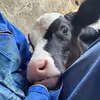 grace. - @grace.wyattt547 - TikTok