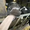 grace. - @grace.wyattt846 - TikTok