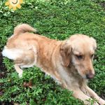 Willow Grace Yeager - @golden_girl_willowgrace - Instagram