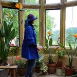 Grace - @gracezhu_london - Instagram