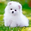 Gracelyn Allen - @gracelyn.allen - TikTok