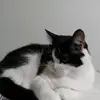 Gracelyn Allen - @gracelyn.allen1 - TikTok