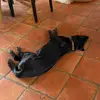 Gracen smith - @moabhome - TikTok