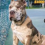 Gracie Arnold - @graciearnold5174 - Instagram