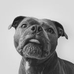 🤍 Gracie - @gracie.blue.sbt - Instagram