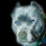 Gracie Blue - @gracieblue146 - Instagram