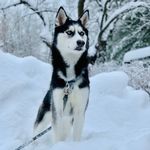 Gracie Blue - @gracie_blue_eyes - Instagram