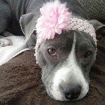 gracieblue - @gracie_blue_ - Instagram