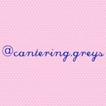 Gracie/Blue💙Elle/Ceri💗 - @cantering.greys - Instagram