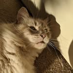 Hello and Welcome!❤️ - @gracie.blue.official - Instagram