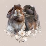 Peppa❤Flöckchen💚Gracie🧡Blue💙Nala💛 - @peppaundfloeckchen - Instagram