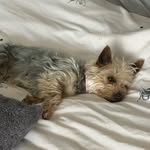 Gracie brock - @graciebrock13 - Instagram